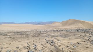 GC-Playa de Maspalomas 2026-101.jpg
